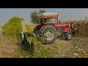 Traditional PTO-Driven Silage Making Machine | Desi Manual Silage Chopper in Action