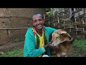 Community-Based Breeding Program: a Sustainable Pro-Poor Food System Transformation