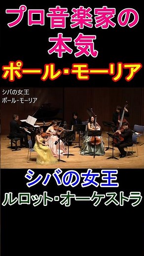 プロ音楽家が本気で「シバの女王」演奏してみた！ #shorts #ルロットオーケストラ #オーケストラ #ポールモーリア #シバの女王