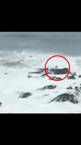 17K views · 486 reactions | SURF BLOOPERS 臘 﫨 ...siempre hubo errores , de ahí se aprende 酪... Repost from  @_surf_sempre ⚡ Noviembre30 Waykis Bodyboard ⭐⭐⭐⭐⭐ #wibperu #error #bloopers #wipeout #bodyboard #surf #bodyboarding #surfing #bodyboarders #boogieboards #barrels #boogieboarding #bodyboarder #bodyboardgirls #surfers #waves #bigwaves #videooftheday | Waves ILO Bodyboard | Facebook