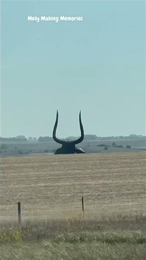Roadside attraction turns to art 🖼️ 🐴 🚙🤠