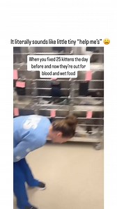 SOUND WAY WAY UP⬆️ (PS my ❤️ is exploding💥) 📹TT: charcuterie2516 IG: @laurenmichele34 (With Vanderburgh Humane Society in Evansville, Indiana, US) | Toronto Street Cats