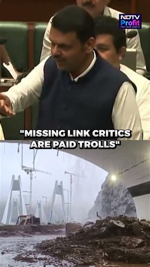 'Won't Tolerate Insults On Maharashtra,' Devendra Fadnavis Rips Into Missing Link Critics #shorts