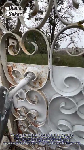Satisfying Rust Removal and Metal Gate Painting Process