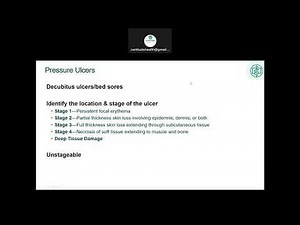 Chapter 7 The Integumentary System