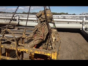 Professional Poo Diver Loves His Stinky Job- Brendan Walsh