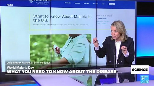 World Malaria Day 2024: What you need to know about the disease