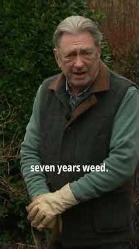 Pull Weeds the Right Way (Most People Do This Wrong)