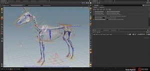 Horse Rig Intro | SideFX