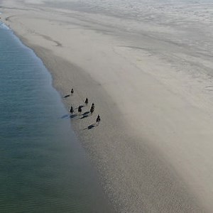 Sattelbude Jütting I Strandausritte