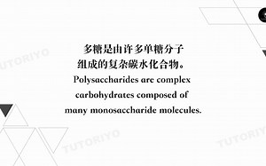 0181-polysaccharide