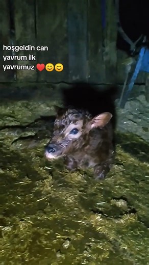 TRT documentary: Esme, the first baby of the new year, is so beautiful! ♥️♥️😊😊😊😊😊😊😊