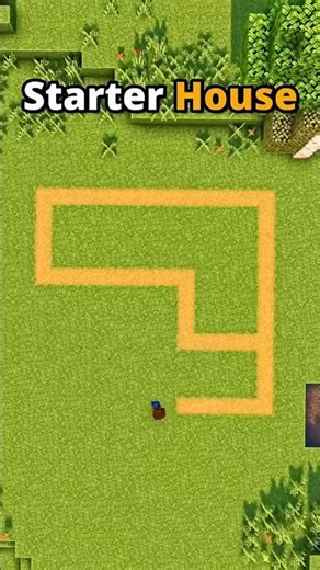 Minecraft:-Starrter HOUSE TUTORIAL #shorts