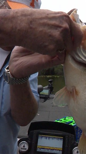 You heard it here first! You can win a free custom boat of your dreams with the Build Your Dream Boat Giveaway! Click here to enter: https://bit.ly/3X6VzqJ NO PURCH. NEC. US/DC, age 18 . See Rules. Ends 4/15/25 at 11:59 pm CT. Void where prohibited. Bill Dance | Bass Pro Shops