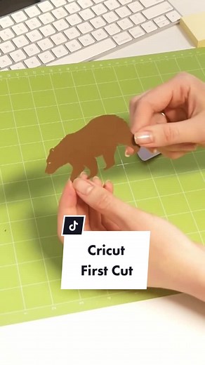 Alina Craft Studio on TikTok