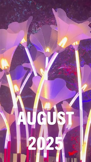 1.5K views |  August in Review – What a month!  From learning...