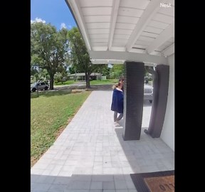 Two Thumbs Up and a Little Mango Dance