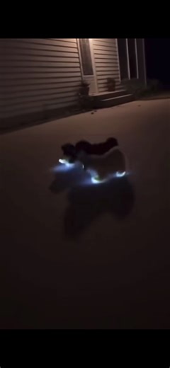 Majid (@ahmadpbiuu5)’s videos with Originalton - Majid