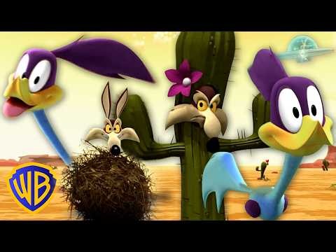 Coyote vs. Roadrunner ACME Challenge! 🧨 | Looney Tuesdays | ‪@wbkids‬​