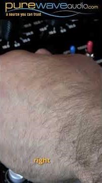 Thermionic Culture Rooster - Pure Wave Audio #shorts