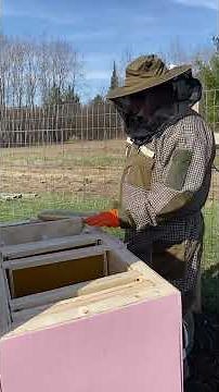 Package install into the horizontal hive.