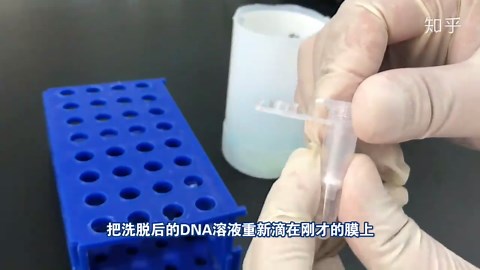 手把手教你做实验_基因组DNA提取