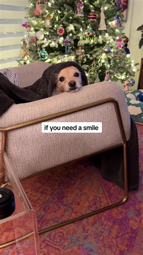 When you’re trying out your new hobby (hello junk journaling!) and look up & see your boy looking at you like this…suddenly all is right with the world #muttsoftiktok #adoptdontshop #dogtok #funnydog #doglife