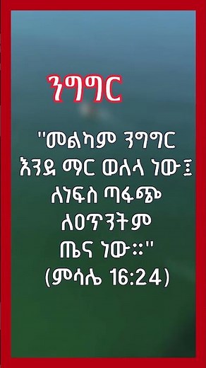 #ንግግር 🗣️ የመፅሐፍ ቅዱስ ታሪክ || Amharic Bible Story #amharicbiblestory #biblestories #habesha #መጽሐፍቅዱስ