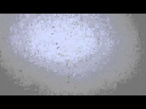 Barry Truax ... East Wind