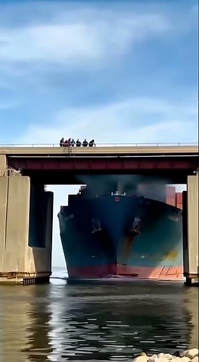Cargo ship vs bridge—this shouldn't have worked #shorts #viral