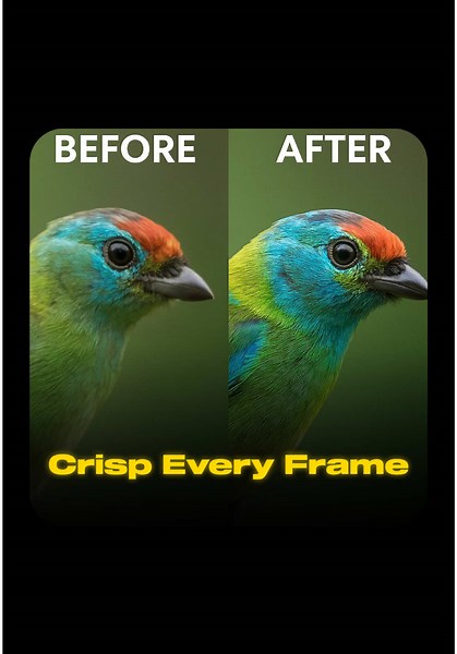 Transform Your Videos with Topaz AI