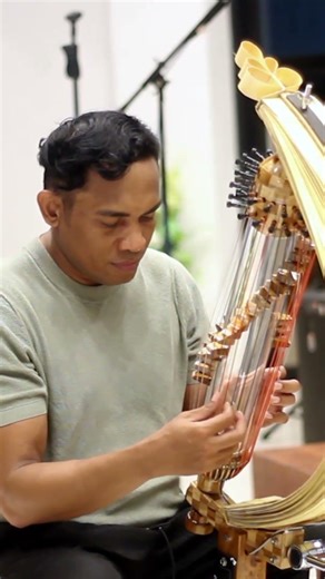Perfect (Ed Sheeran) The Sound of Sasando – Indonesian Tube Harp