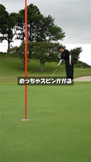 The theory that you can chip in with Golf Freaks' original ball.