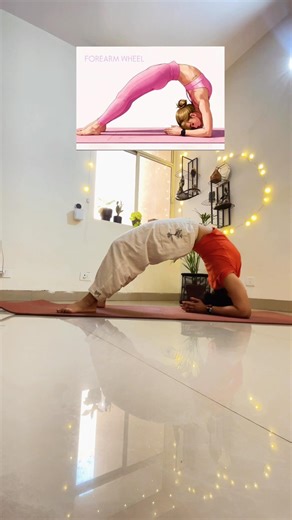 Forearm wheel pose | Dwi Pada Viparita Dandasana. How to do it? And benefits!