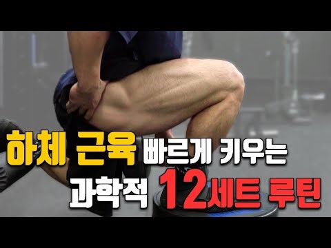 A lower body workout routine that dramatically increases lower body muscle mass.