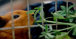 Video by The Instagrapher on Pexels