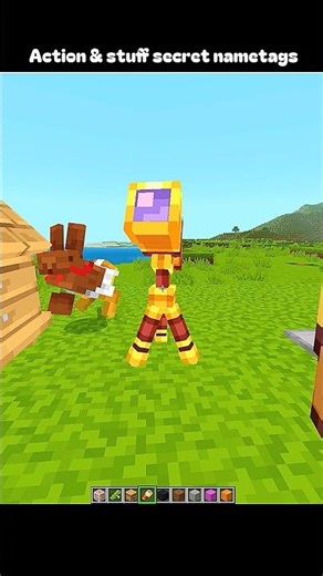 Actions and stuff secret nametag 😱 #minecraft #short