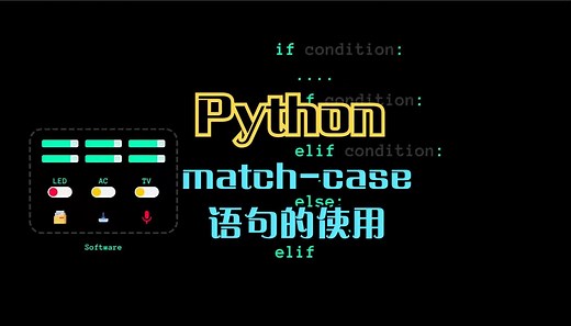 Python中的match-case语句