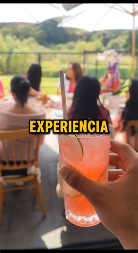 Cocktail Experience on TikTok