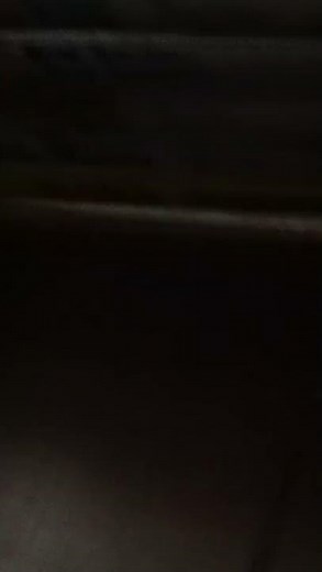 My Sesame Street/Elmo World VHS/DVD Collection (Updated)