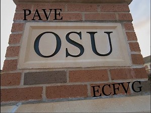 How to become a ​Doctor of Veterinary Medicine(DVM) in North America? (PAVE & ECFVG)