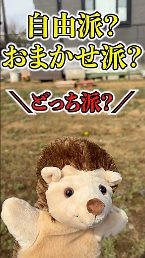 【知らないと損】建築条件なし＝神？それとも地雷？🦔🏠 #えぼシンワ #ふらシンワ #湘南不動産 #湘南 #ゆるキャラ #人形劇 #ハンドパペット #ショートドラマ #YouTubeショート