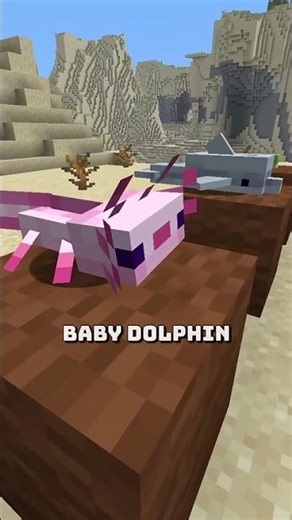 👉👉Minecraft video no 03 👈👈 B2E GAMER #Gaming #Minecraft #MinecraftShorts #Shorts #MinecraftIndia #ff