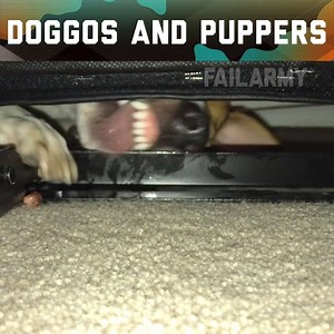 Watch fails 24/7 on the FailArmy App! Download here: https://fail.army/2IcpMNB | FailArmy 2.0