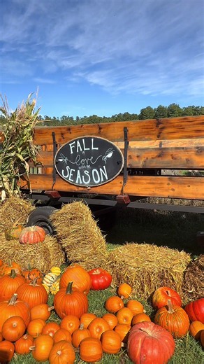 🍂🎃 FALL FESTIVAL IS TOMORROW! 🎃🍂 We’ve been getting the farm ready for all things FALL, and we can’t wait to see you tomorrow from 12–3 PM! 🍁 Come enjoy: 🎨 Mini pumpkin painting 💐 Cut flower bouquet making 🌻 Sunflower bundles for sale 🖍️ Coloring & lawn games for the kids 🎶 Live music ✨ And lots of fall fun at the farm! Grab your friends & family and come spend the afternoon with us! 🍂🤎 #FallFestival #NorthernMichigan #FallInMichigan #FamilyFun