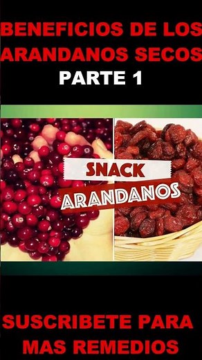 Beneficios De Los Arandanos Secos - Que Beneficios Tiene El Arandano Para La Salud [Parte 1]