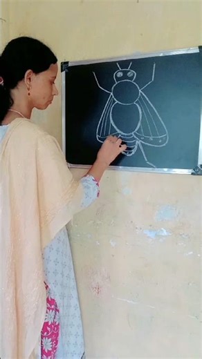 very easy insect drawing #shorts#art #youtubeshorts