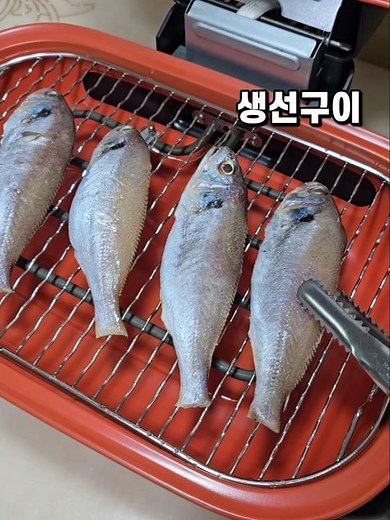 냄새 없이 생선 굽는 법✨ 마이어 와이드 생선그릴로 끝!