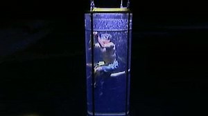 Watch Fear Factor (Original) Season 5 Episode 12 - Co-ed Models