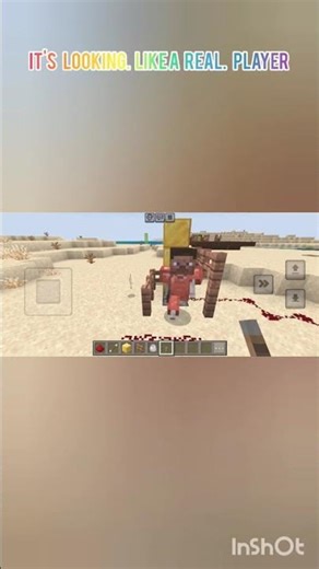 Making a Pro Skeleton in Minecraft! 🏹 ✨#shorts #minecrafthacks